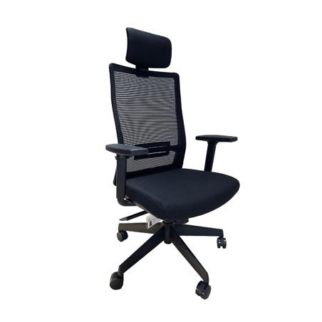 WM - Zenn High Back Ergo Chair
