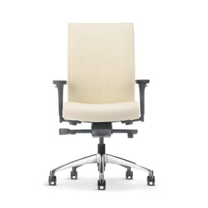 Front view of the Pegaso Mid Back office chair