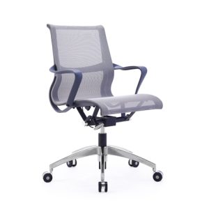 WM - Becky Conference Chair