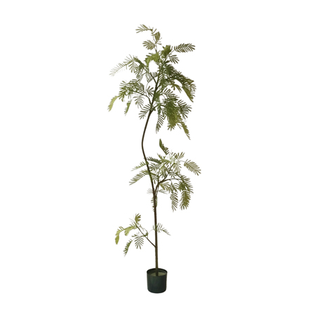 ARTIFICIAL  ANADENANTHERA PEREGRINA LEAVES 2M