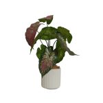 faux CALADIUM PLANT WITH WHITE POT