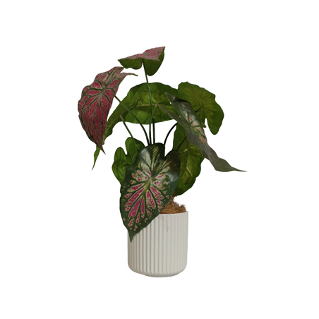 faux CALADIUM PLANT WITH WHITE POT