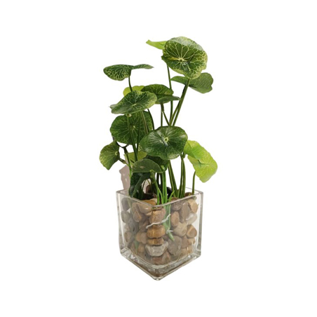 faux COPPER COIN PLANT - TABLE SIZE