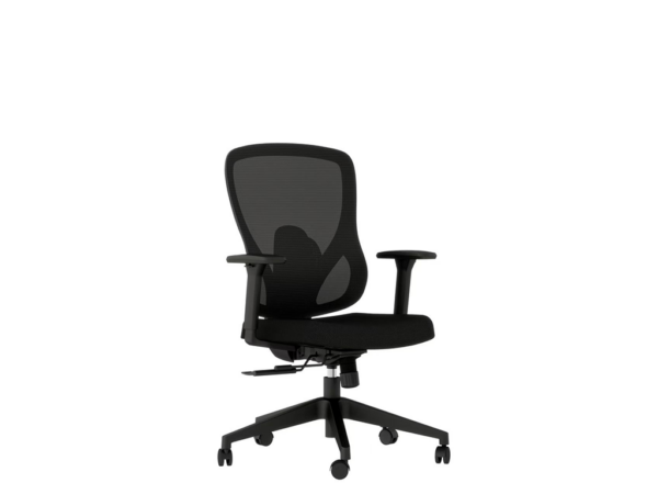 Kano Ergo Chair